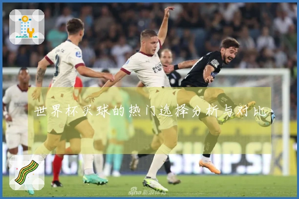 世界杯买球的热门选择分析与对比