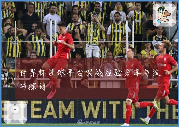 世界杯让球平台实战经验分享与技巧探讨