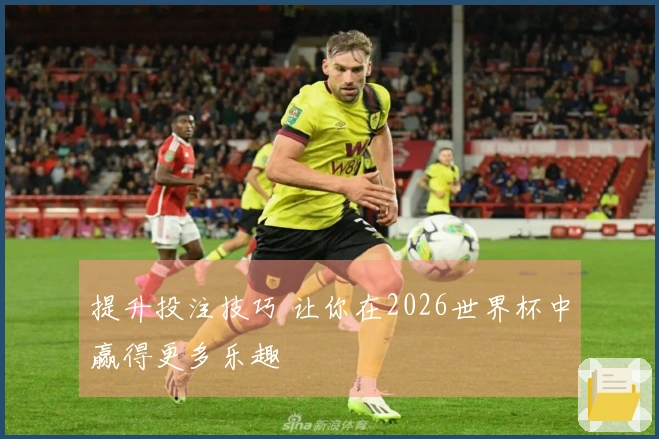 提升投注技巧 让你在2026世界杯中赢得更多乐趣
